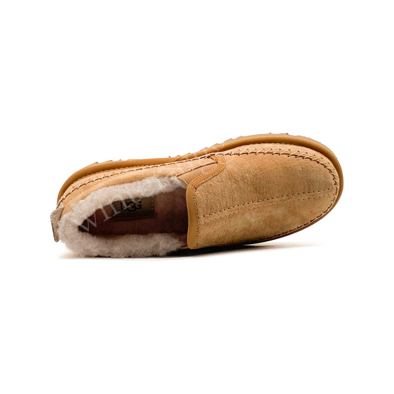 Мужские Slippers Tasman - Chestnut 