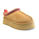 UGG TAZZ - Chestnut